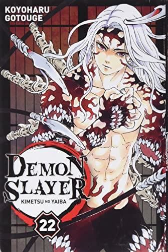 Demon slayer 22